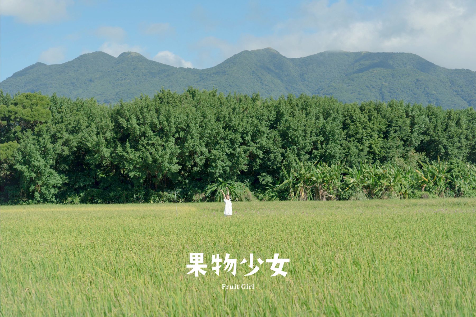 稻田與遠山產地風景